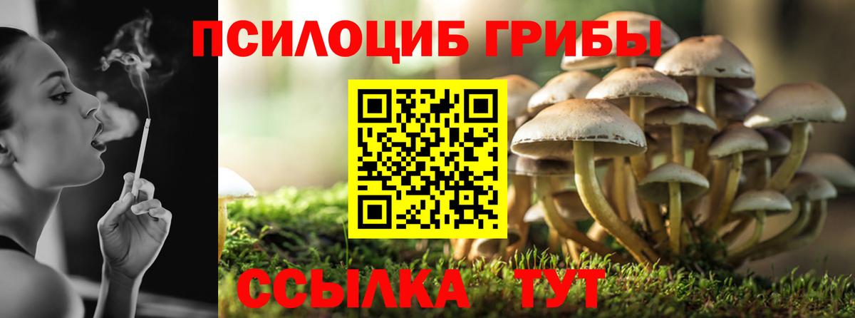 Галлюциногенные грибы Cubensis Сызрань